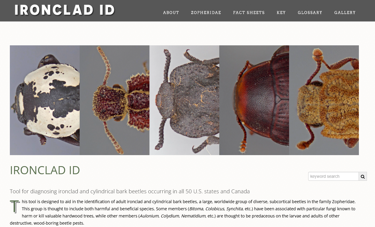 Release of Ironclad ID to ITP’s dynamic platform